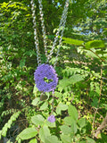 Lavender Heart Beaded Necklace